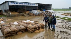 Rain Damages Crop