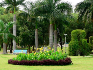 indira_park_hyderabad1