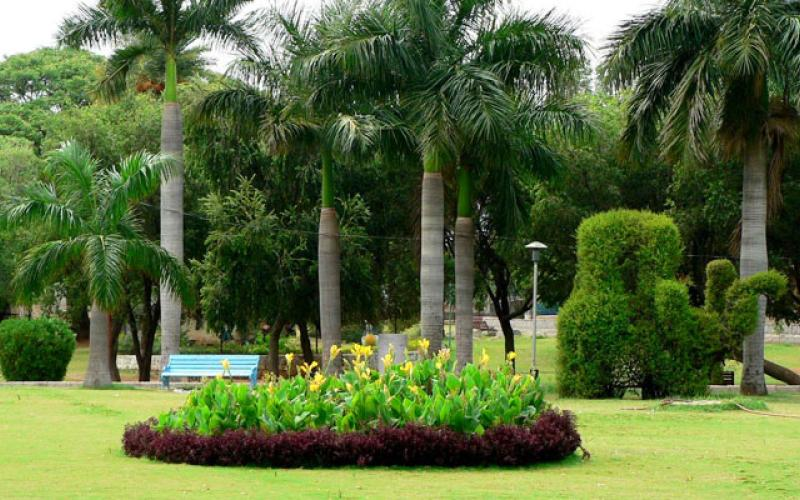 Indira Park